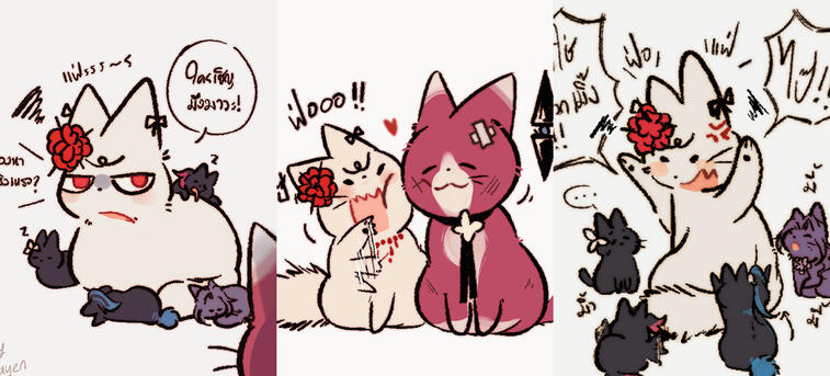 Cat